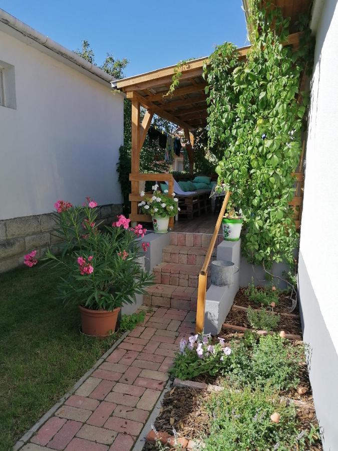 Menta Apartman Mezőkövesd المظهر الخارجي الصورة